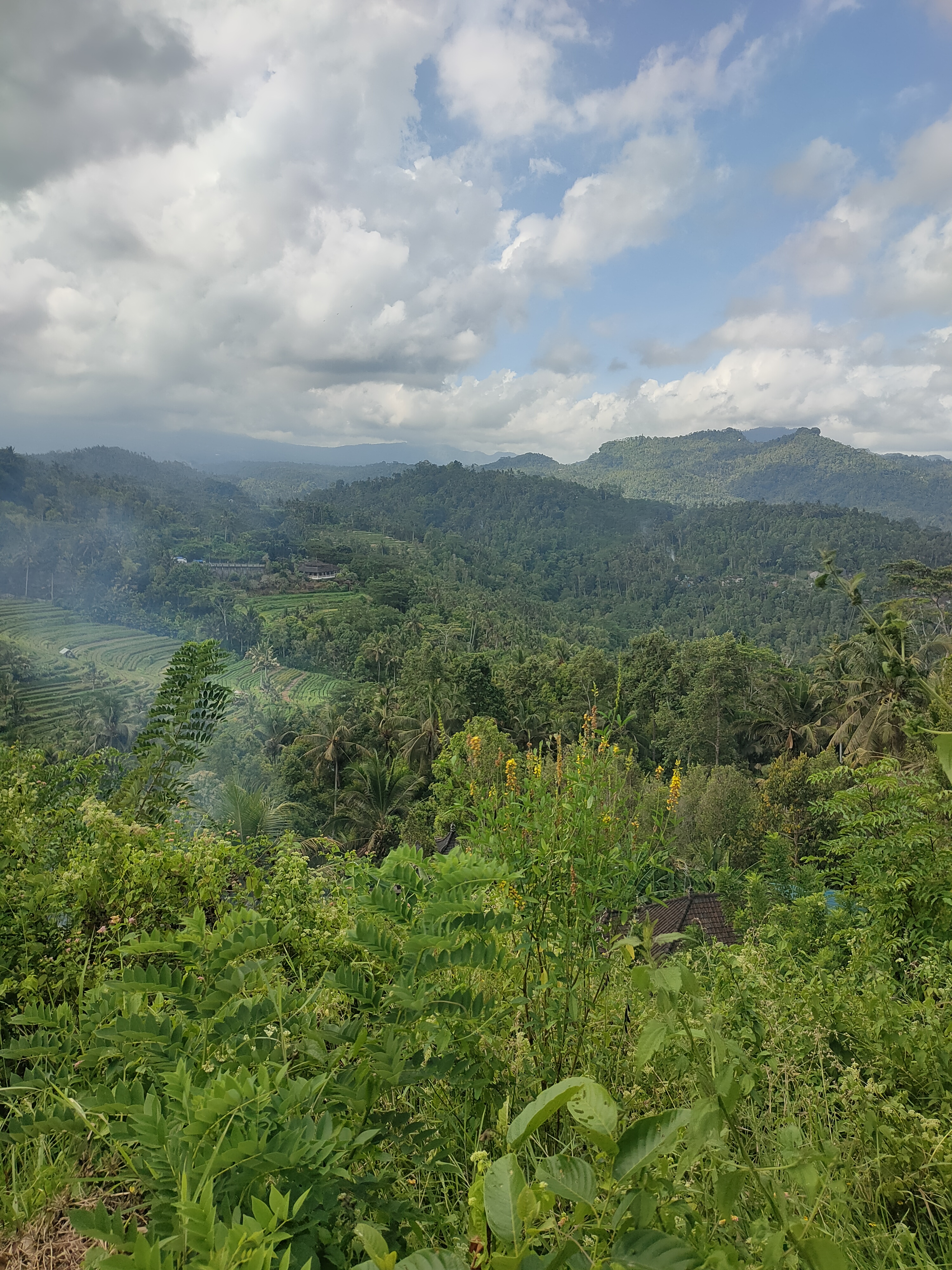 land in Bali