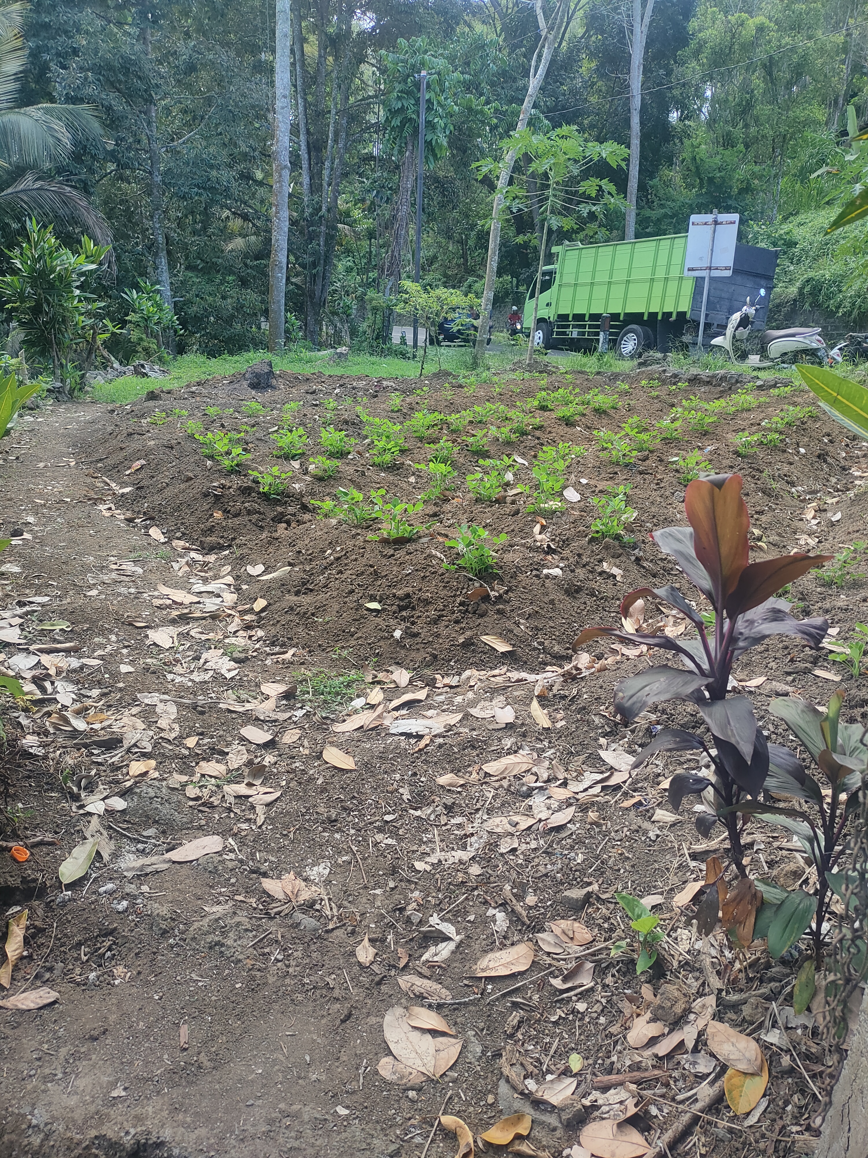 land in Bali