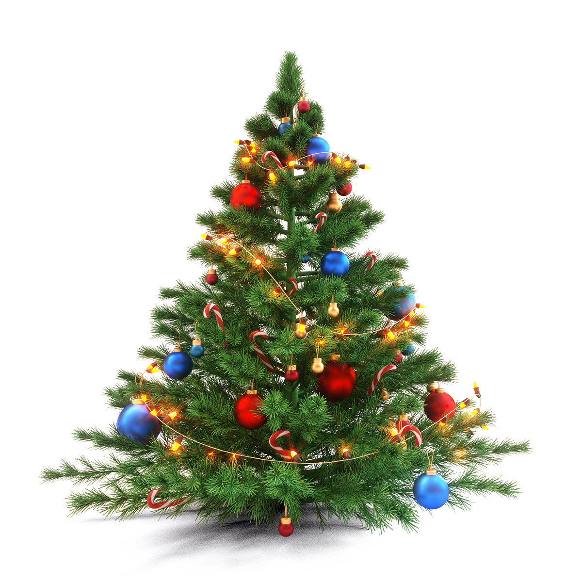 Christmas tree png